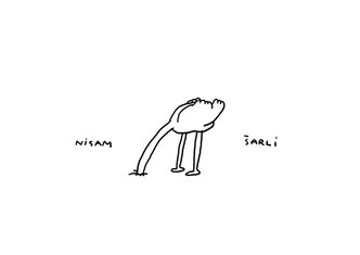 Nisam Šarli