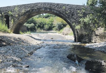 Ribnica