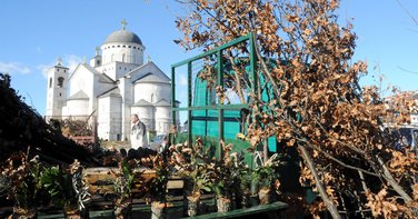 badnjak