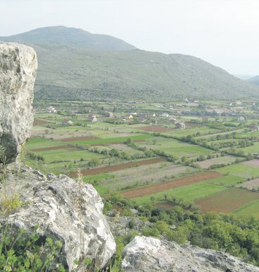 Dinoško polje