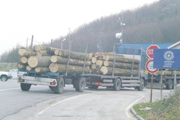 Šuma, građa