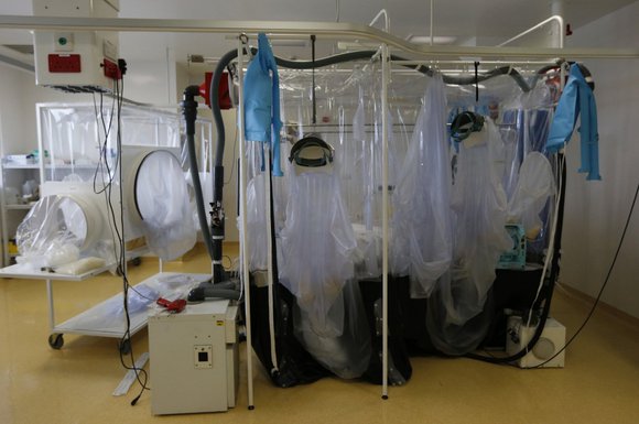 Ebola virus
