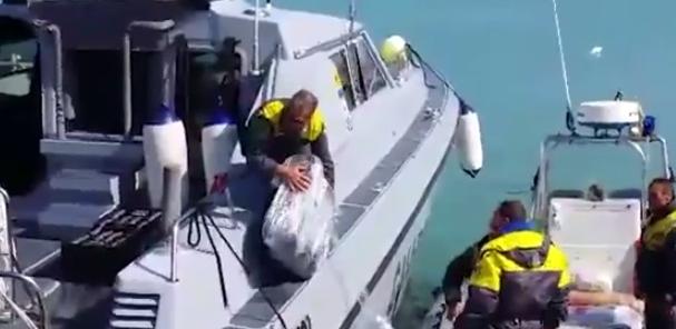 Termoli droga