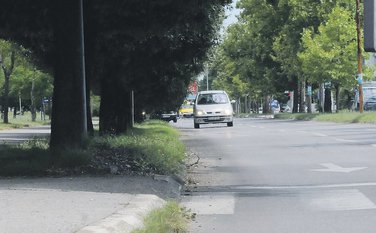 Bulevar svetog Petra Cetinjskog