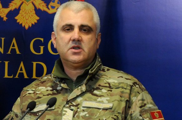 dragan samardzic