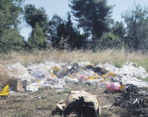 Zelenika, park, smeće