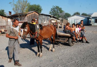 kamp, Vrela Ribnička, Romi