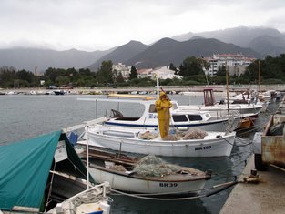 marina bar