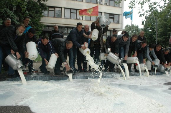 farmeri Nikšić, prosipanje mlijeka