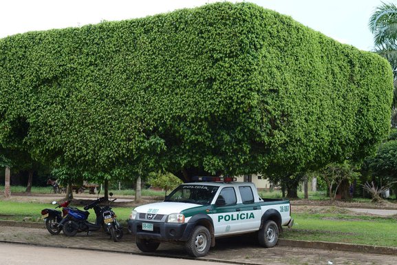 Kolumbija policija, Kolumbijska policija