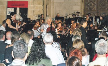 Miša Majski, Kotor art