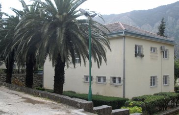 Dobrota, psihijatrija