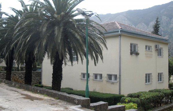 Dobrota, psihijatrija