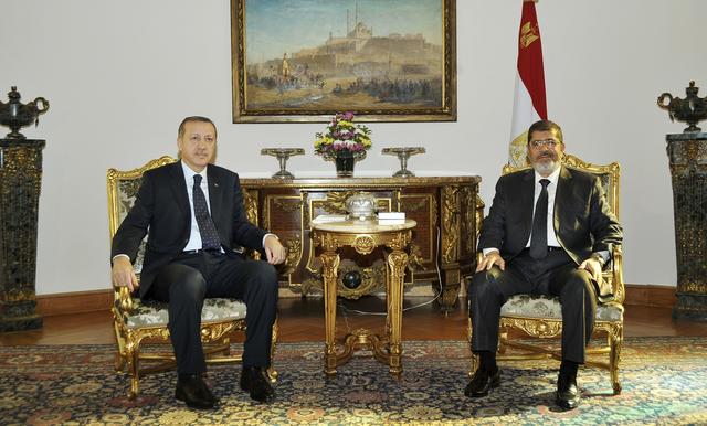 Tajip Erdogan, Muhamed Mursi