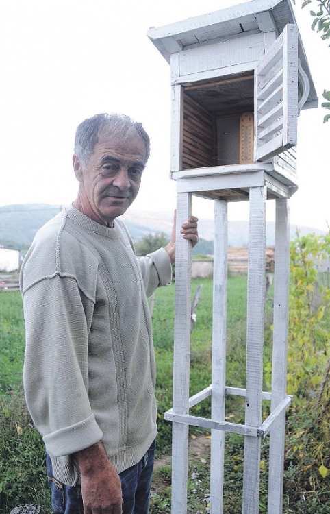 Vukić Dašić