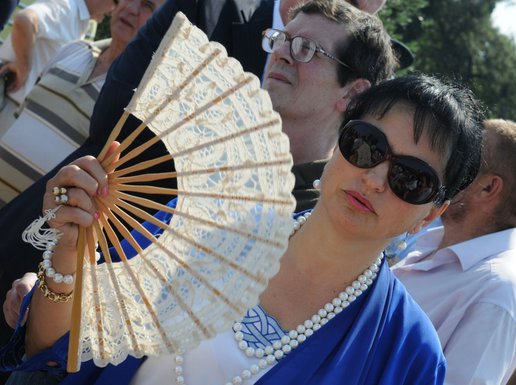 Vesna Medenica