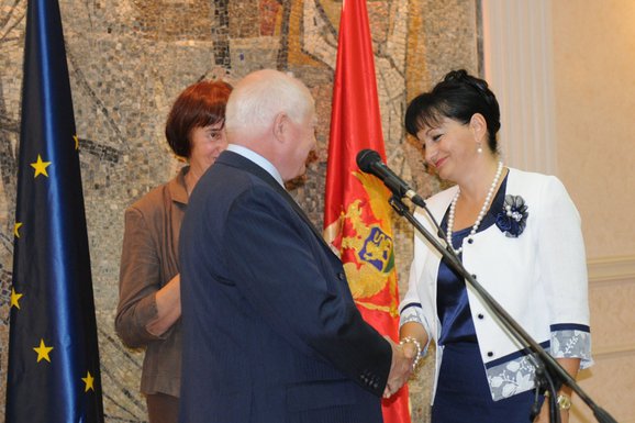 Kosta, Medenica