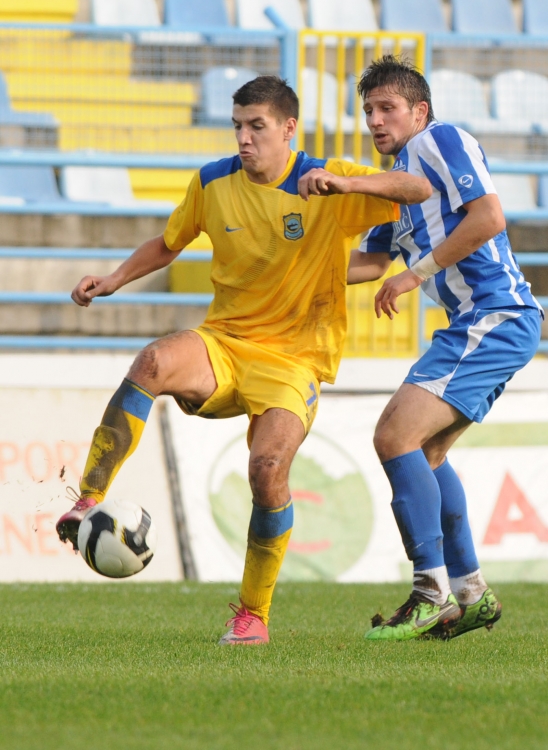 GRBIC