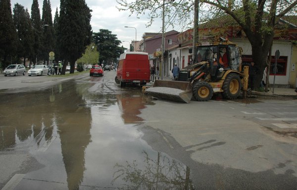njegoševa