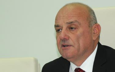 Bjelica