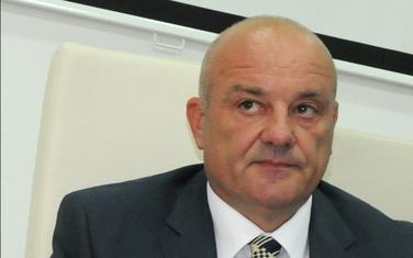 Bjelica