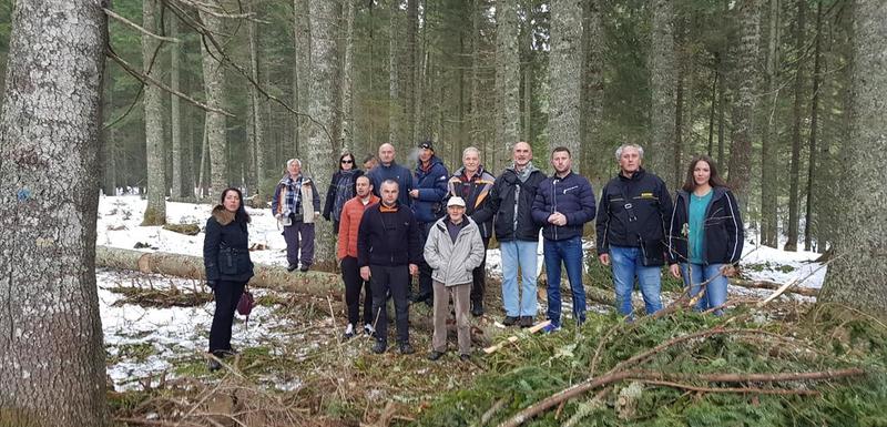 Ljudi koji su odlučni da zaustave sječu drveća u zoni neposredno uz Crno jezero na Durmitoru