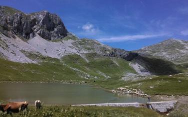 Sinjajevina