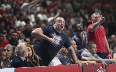 Navijači Crvene zvezde