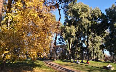 Park u Madridu
