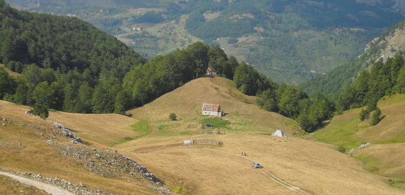 Katun Javor