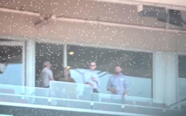 Nezvani gosti na stadionu