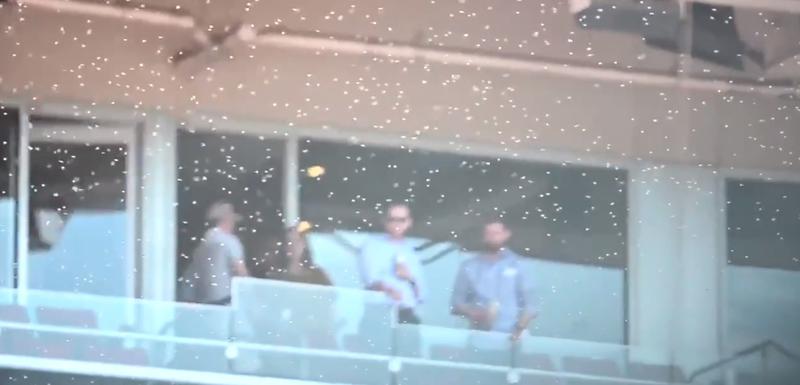 Nezvani gosti na stadionu
