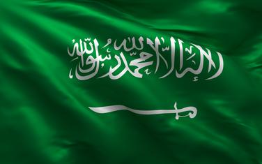 Saudijska Arabija (Ilustracija)