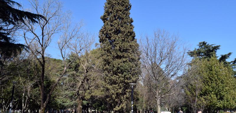 Njegošev park
