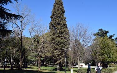 Njegošev park
