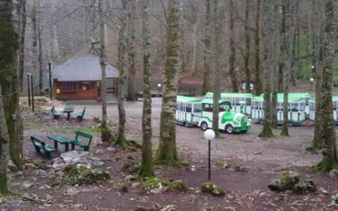 Turistički vozići od pola miliona juče su prevozili nadležne