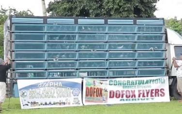Najvrednija i najteža trka golubova na Filipinima