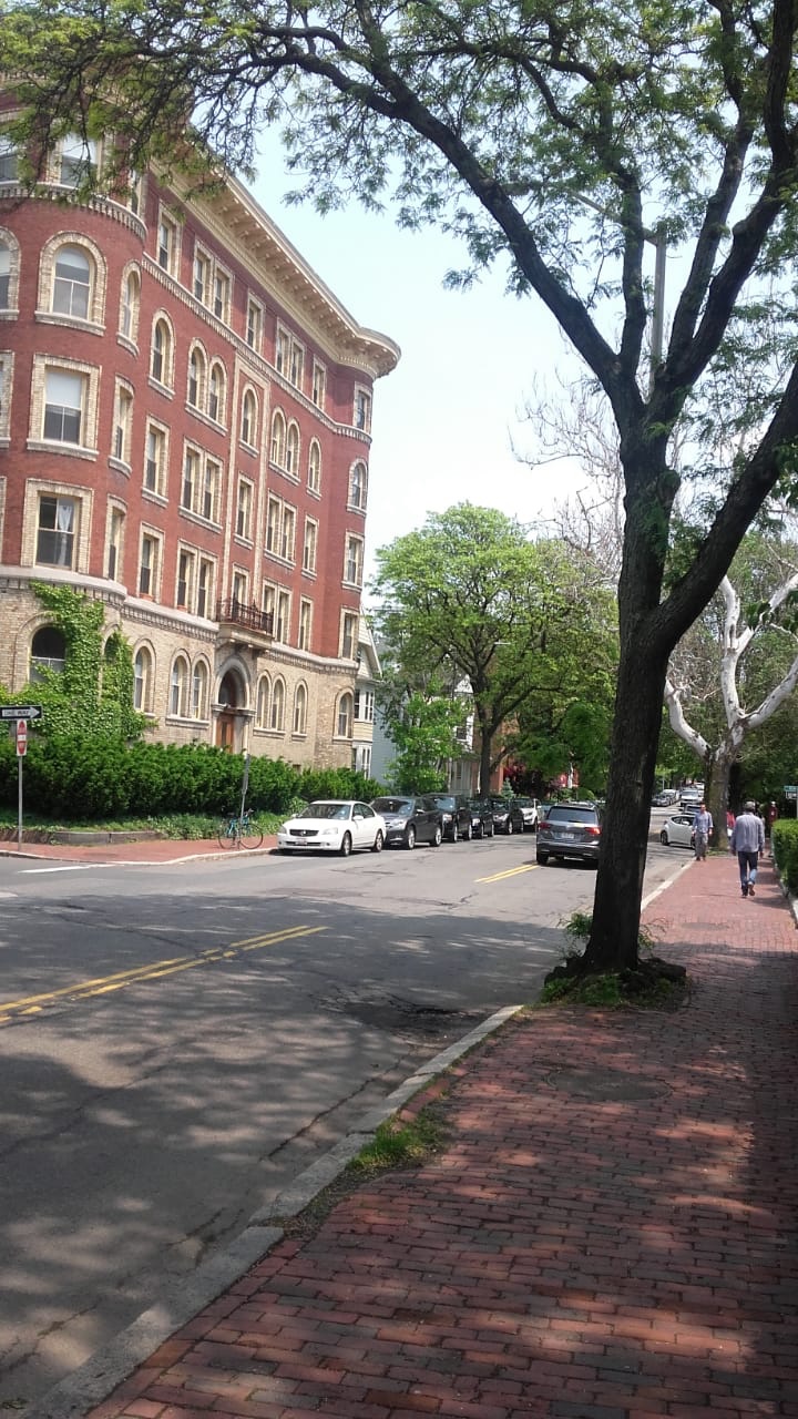 Harvard st.