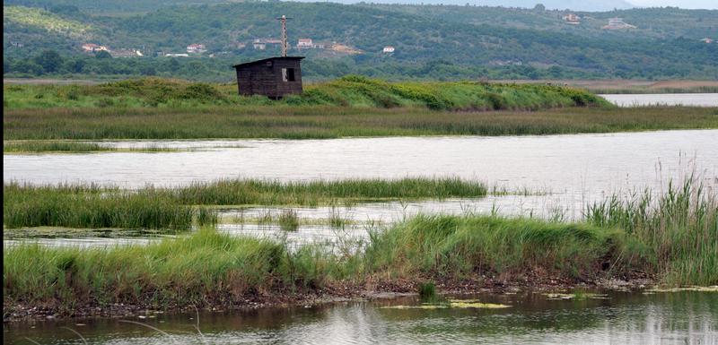 Ulcinjska solana