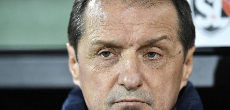 Faruk Hadžibegić