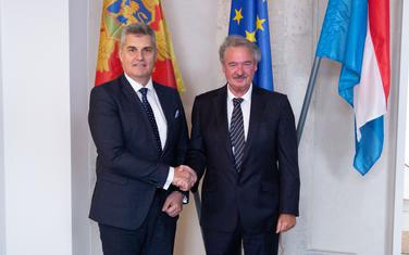 Brajović i Aselborn