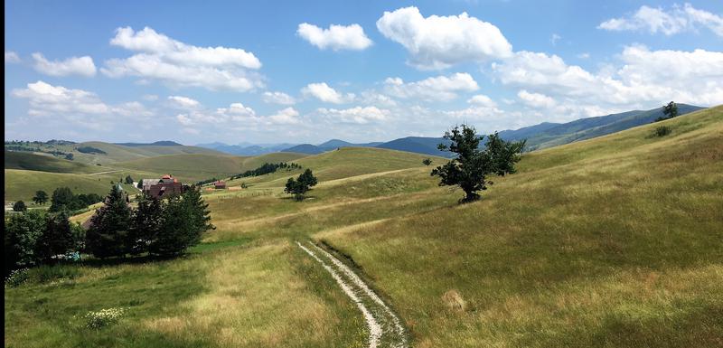 Zlatibor