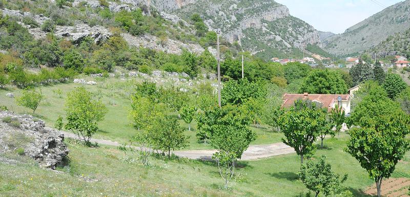 Smokovac
