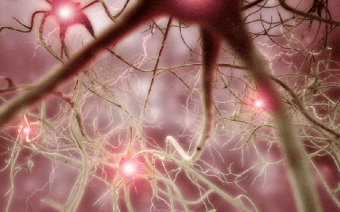 Iz kompanije navode da žele da se usredsrede na pacijente sa ozbiljnim neurološkim problemima