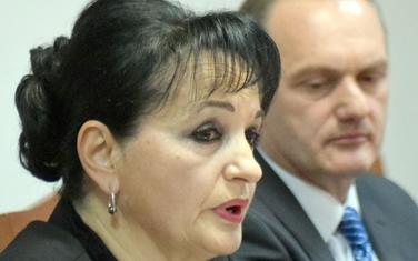Medenica i Savić