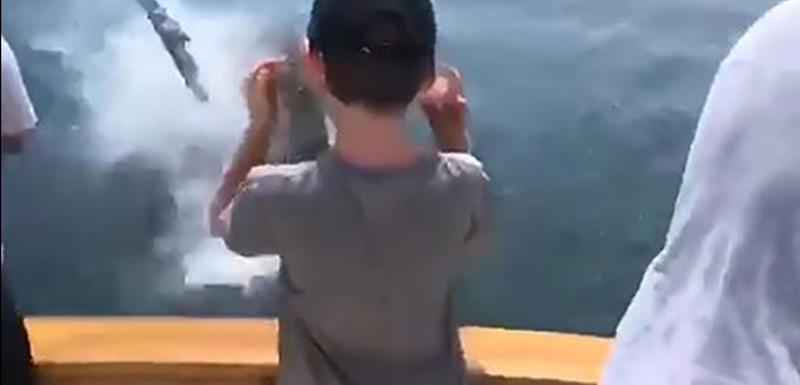 Momenat kada velika bijela ajkula iskače iz vode