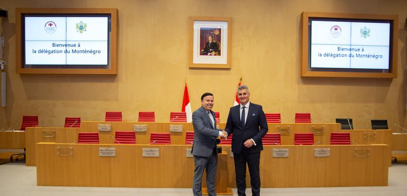 Valeri i Brajović