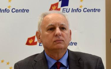 Vučinić