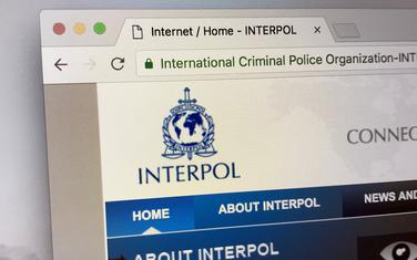 Interpol (ilustracija)