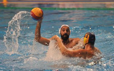 Toni Petrović